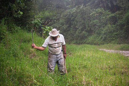 哥斯达黎加牧场的手男人森林运动植物牧场主场地农场种植园大男子成人图片