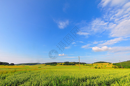 Swabian alb的夏日野花蓝天乡村草地场地生长农业图片