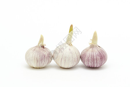 三大蒜团体摄影香料美食水平杂货食物粉色白色灯泡图片