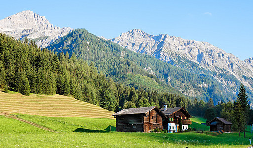 奥地利的阿尔卑斯山景观 山脉 森林 草原和农场蓝色农业绿色植物农村岩石草地植被谷仓顶峰牧场图片