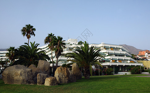 特内里夫旅馆花园旅行奢华棕榈天空异国植被晴天房子太阳图片