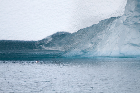 伊卢利萨特的冰山蓝色海洋海景峡湾遗产白色多云名录天空冰川图片
