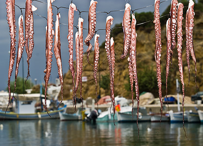 干斑章鱼食物动物天空场景支撑旅行海鲜港口旅游假期图片