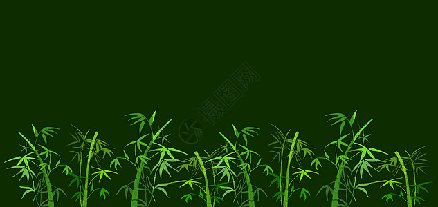 竹子甘蔗树状分支机构灌木丛灌木叶子插图花瓣繁荣热带图片