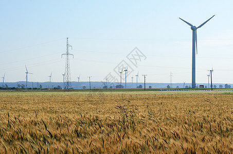 夏季风力涡轮机力量地平线粮食技术刀刃天空抛光谷物小麦生态图片