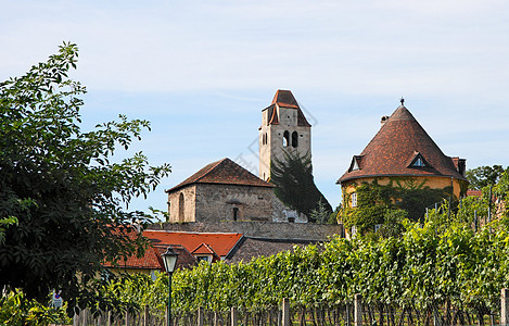 奥地利Durnstein葡萄园间中世纪修道院图片