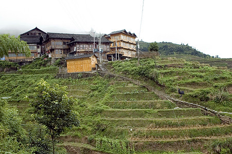吉林附近的中国村竹子绿色农村乡村农业山脉村民农民房子丘陵图片