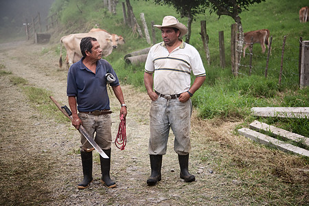 哥斯达黎加的男男子英俊的牧场手弯刀乡村朋友牛仔帽子国家奶牛丛林主义成人图片