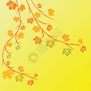 秋季矢量曲线植物黄色墙纸红色绘画插图叶子季节橙子背景图片