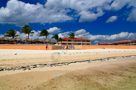 在坎昆一个豪华海滩度假胜地的海滩前滩游泳海洋情调异国美丽椅子旅行棕榈风景旅游图片