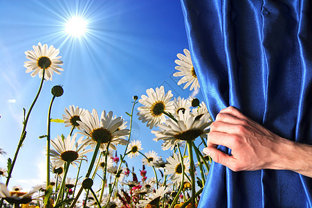 夏花窗户卡片幸福自由花瓣生日窗帘问候语蓝色图片