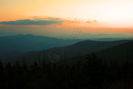 烟雾山区国家公园蓝色旅行大路旅游生态顶峰松树国家地质学首脑图片