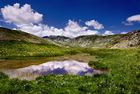 冰川湖湖海岸石头场景风景荒野水池农村冰川天空植被图片