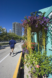 在芝加哥市中心慢跑结构旅游城市生活公园公寓景观跑步办公楼办公室商务图片