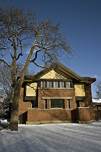 弗兰克劳埃德的房子建造房地产投资生活风格住宅外观社区岩石园景图片
