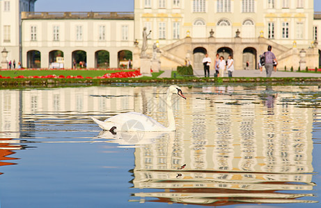 尼芬堡宫天鹅蓝色雕塑游客绿色天空城堡历史性鸭子皇家池塘图片