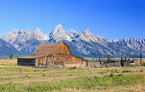 Grand Teton的穆尔顿仓库谷仓蓝色历史山脉天空旅游晴天公寓羚羊游客图片