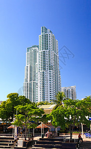 迈阿密市中心高楼大楼海湾市中心景观港口海岸热带晴天酒店公寓建筑图片