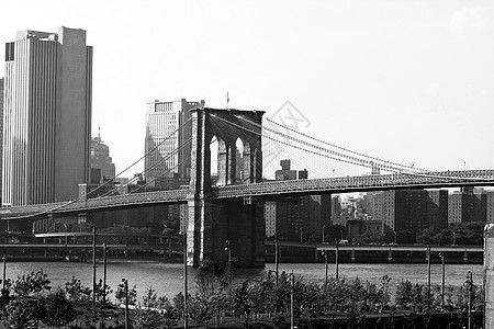 纽约市布鲁克林桥建筑学黑色地标旅行景观历史性丛林旅游摩天大楼假期图片