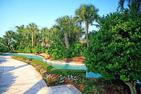 度假村的风景和游泳池退休热带天堂椅子闲暇游泳假期酒店棕褐色棕榈图片