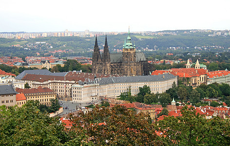 布拉格的空中观察大教堂城堡教会石头中心街道国家旅行游客宗教图片