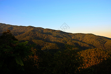 山日落风景天空植物日落白色背景