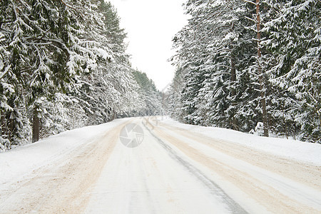 积雪中的国家公路车削天空松树车道沥青驾驶树木季节天气旅行背景图片