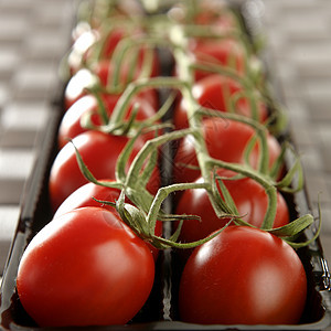 红番茄分支几何学活力工作室棕色桌布蔬菜饮食农业厨房绿色图片