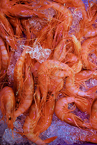 盐水大虾橙虾 大虾 甲壳类及冰面盐水饮食营养美食钓鱼团体旅行奢华动物对虾背景