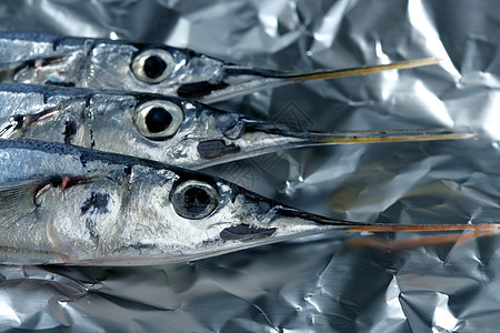 三条针鱼 未烹煮的大型工作室拍摄眼睛海洋盘子钓鱼销售店铺美食食物营养厨房图片