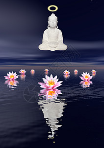 夜间冥想佛教徒荷花雕像菩萨雕塑花瓣院子宗教玫瑰植物图片