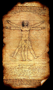 维特鲁维人金属建筑学场地男人艺术绘画身体正方形解剖学圆圈图片