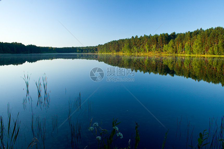 湖边的风景森林荒野公园蓝色水平植物群地平线阳光日光反射图片