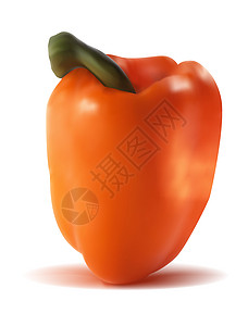 橙色甜辣椒的摄影现实矢量说明图片
