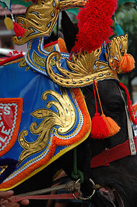伦马社会黑色文化节日旅行音乐风俗仪式艺术动物图片