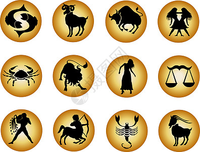 zodiac 组合按钮集网站癌症十二生肖风格装饰星座圆形插图八字网页图片