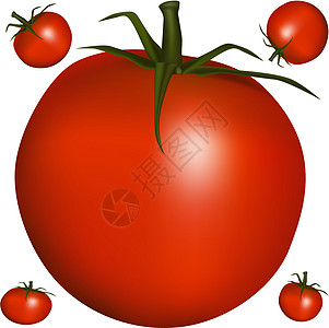 现实的番茄图片