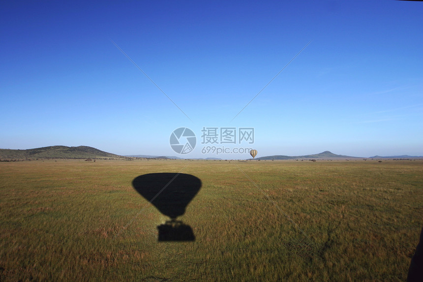 塞伦盖蒂上空的热气球图片