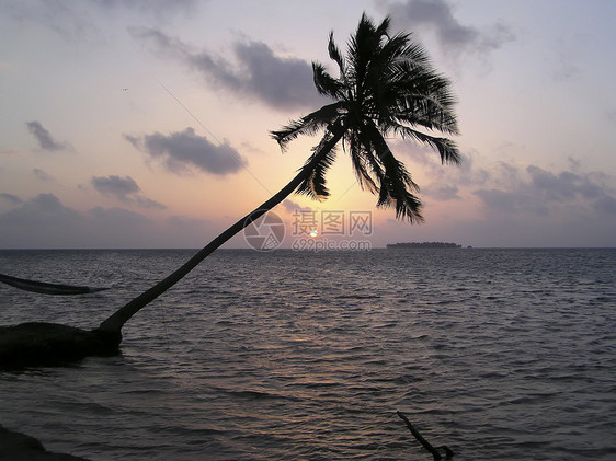 马尔代夫群岛热带沙滩上的日落图片