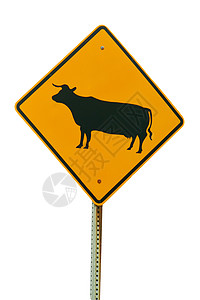 孤立的牲畜过境标志图片