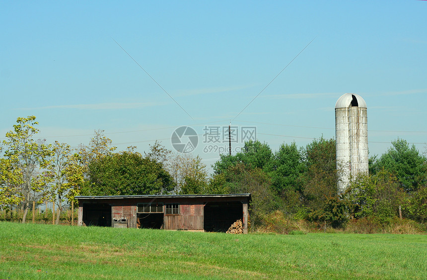 谷仓和粮仓田园叶子农业天空乡村建筑筒仓农场风光红色图片