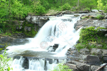 瀑布茶点风景溪流场景岩石森林石头热带绿色流动图片