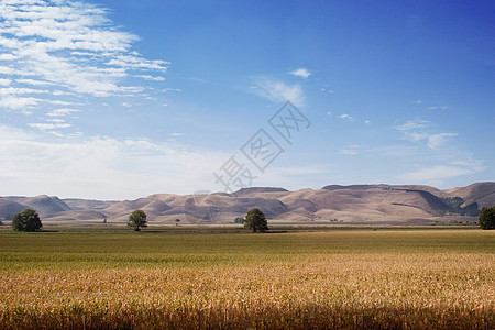 角国家农村爬坡草地丘陵场地土地风景滚动乡村图片