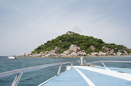 南川岛02号图片