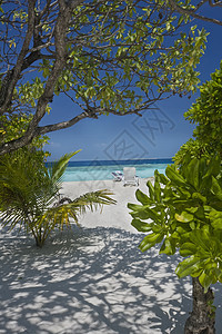 马尔代夫群岛热带海滩马尔代夫群岛天堂海洋岛屿旅游蓝色目的地胜地椅子旅行海景图片