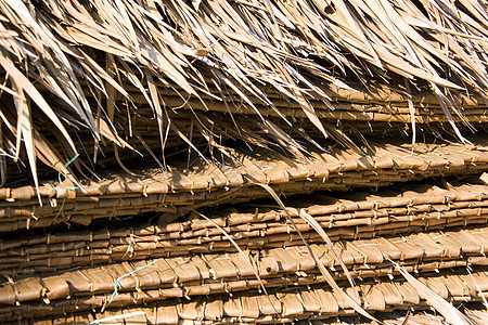 Attap 屋顶村庄建筑传统棕榈房子树叶叶子屋顶背景图片
