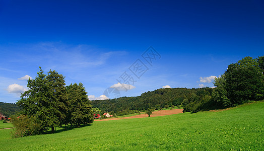 德国蓝色蓝天空和山丘的地貌景观季节牧场草地环境自由全景农场太阳场景图片