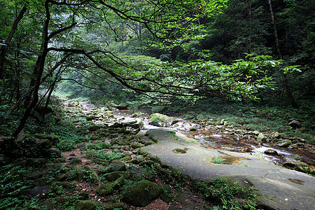 中国国家森林公园     张贾吉岩石多云世界森林树木国家遗产溪流公园城市图片