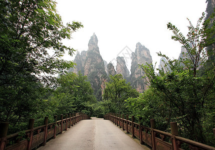 中国国家森林公园     张贾吉风景公园城市森林遗产岩石世界国家多云柱子图片