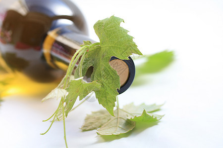 葡萄酒瓶酒精生长葡萄园叶子酒厂农业玻璃玫瑰太阳园艺图片